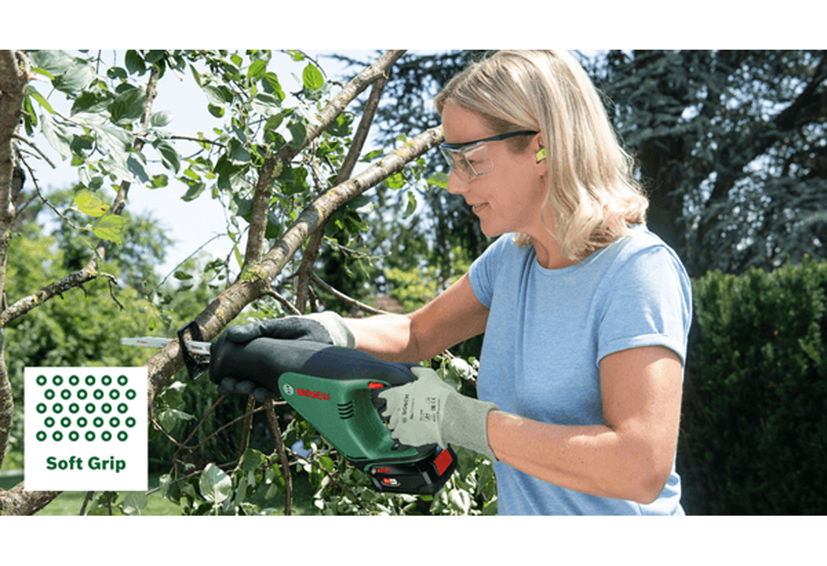 Απεικονίζεται η σέγα 